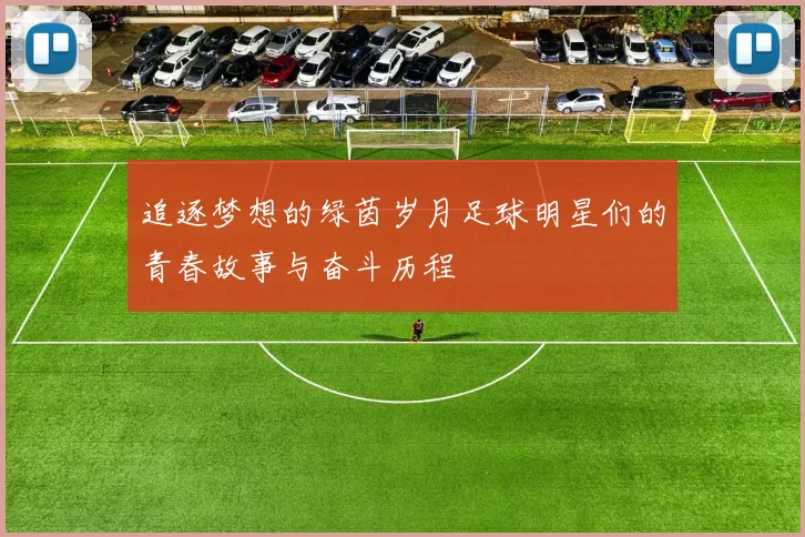 追逐梦想的绿茵岁月足球明星们的青春故事与奋斗历程