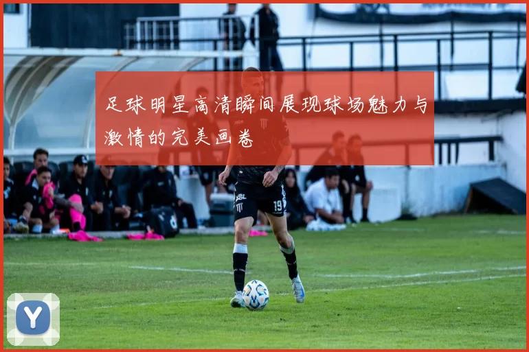足球明星高清瞬间展现球场魅力与激情的完美画卷