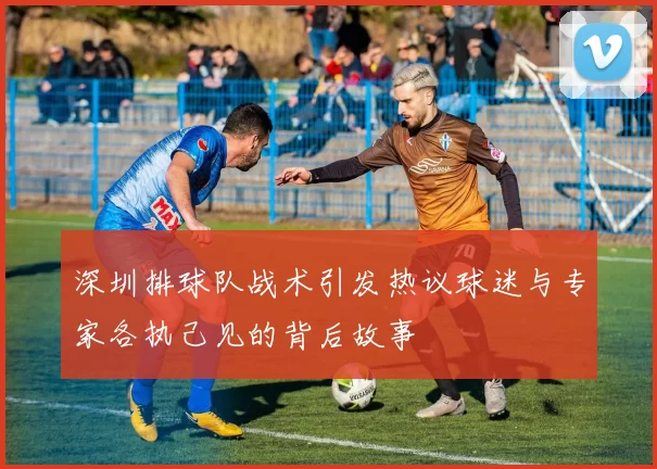深圳排球队战术引发热议球迷与专家各执己见的背后故事