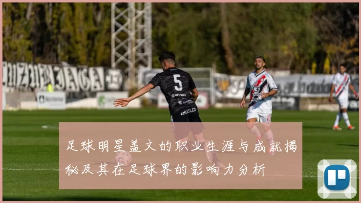 足球明星盖文的职业生涯与成就揭秘及其在足球界的影响力分析