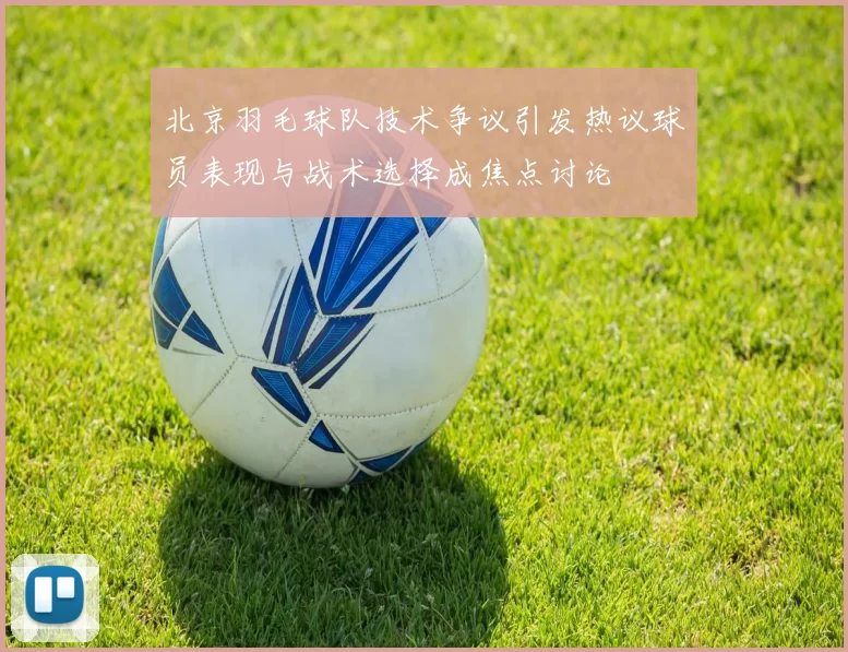 北京羽毛球队技术争议引发热议球员表现与战术选择成焦点讨论