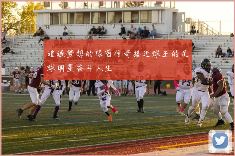 追逐梦想的绿茵传奇接近球王的足球明星奋斗人生