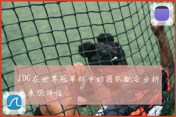 JDG在世界冠军杯中的团队配合分析与表现评估