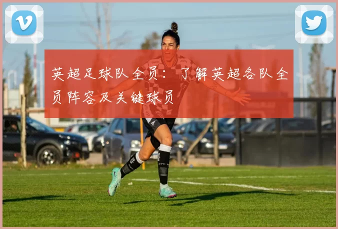 英超足球队全员：了解英超各队全员阵容及关键球员