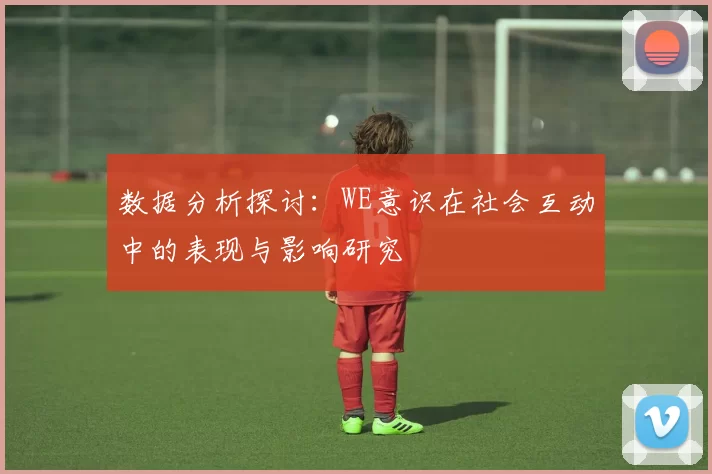 数据分析探讨：WE意识在社会互动中的表现与影响研究