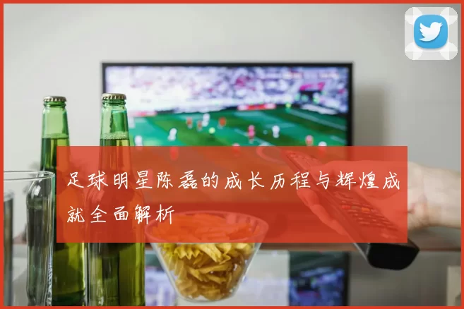 足球明星陈磊的成长历程与辉煌成就全面解析