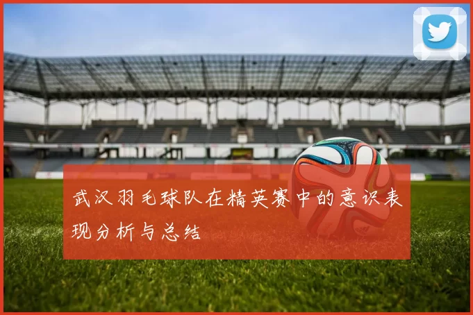 武汉羽毛球队在精英赛中的意识表现分析与总结