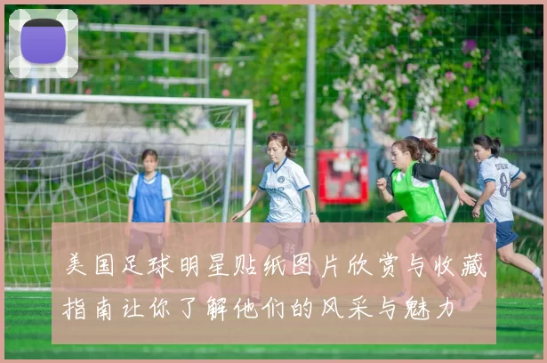 美国足球明星贴纸图片欣赏与收藏指南让你了解他们的风采与魅力