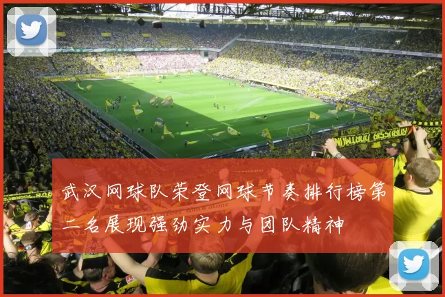 武汉网球队荣登网球节奏排行榜第二名展现强劲实力与团队精神