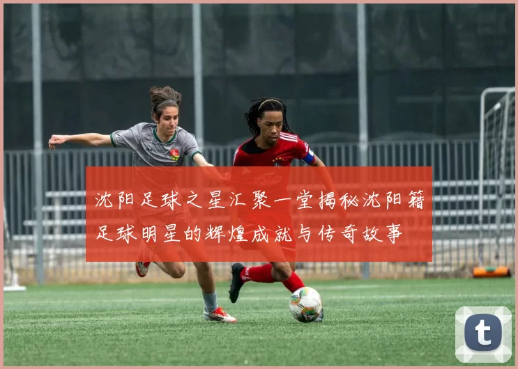 沈阳足球之星汇聚一堂揭秘沈阳籍足球明星的辉煌成就与传奇故事