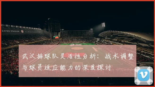 武汉排球队灵活性分析：战术调整与球员适应能力的深度探讨