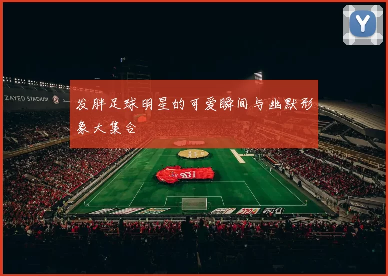发胖足球明星的可爱瞬间与幽默形象大集合