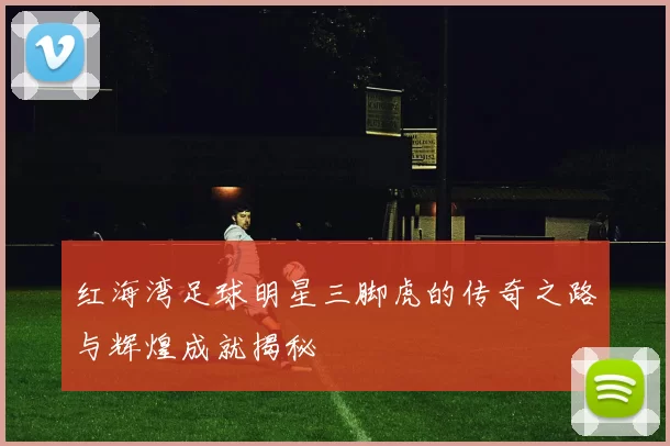 红海湾足球明星三脚虎的传奇之路与辉煌成就揭秘