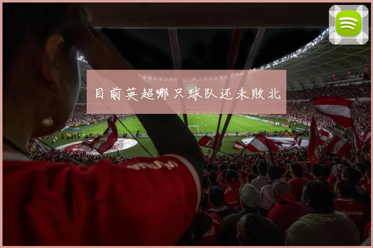 目前英超哪只球队还未败北