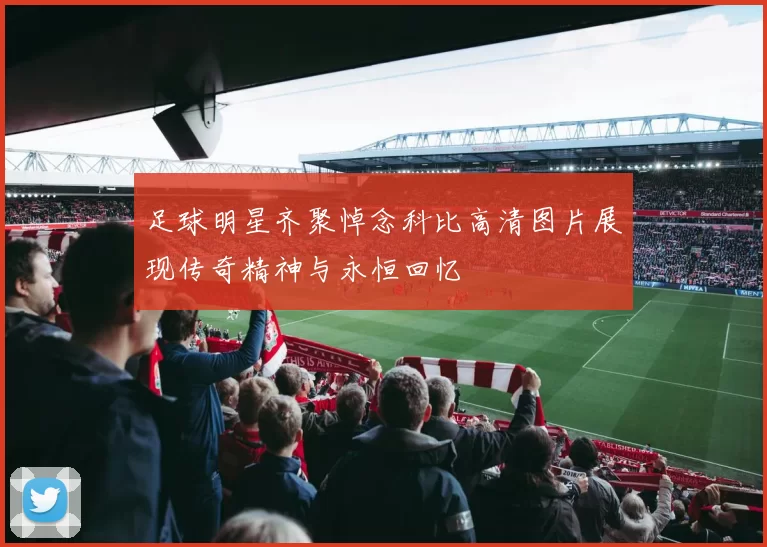 足球明星齐聚悼念科比高清图片展现传奇精神与永恒回忆