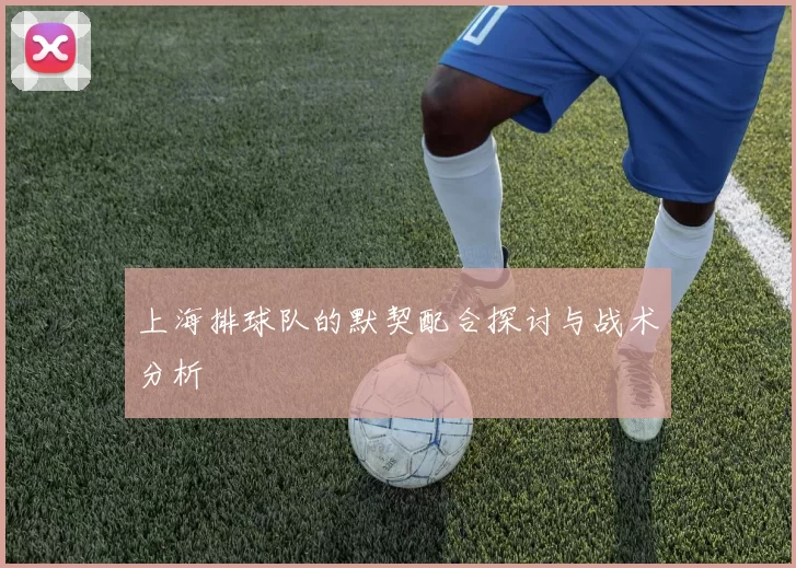 上海排球队的默契配合探讨与战术分析