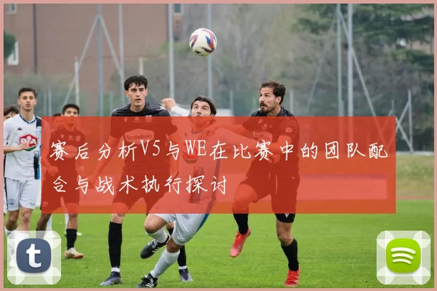 赛后分析V5与WE在比赛中的团队配合与战术执行探讨