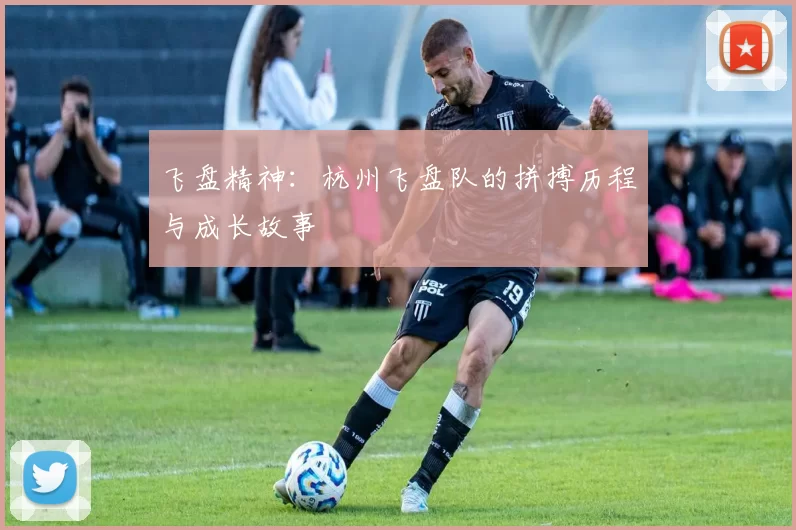 飞盘精神：杭州飞盘队的拼搏历程与成长故事