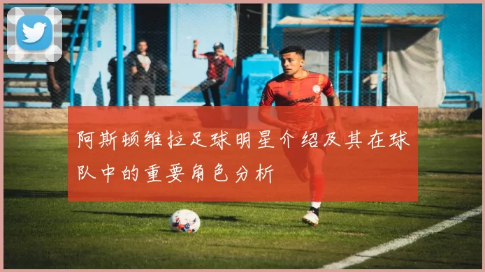 阿斯顿维拉足球明星介绍及其在球队中的重要角色分析