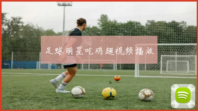 足球明星吃鸡翅视频播放