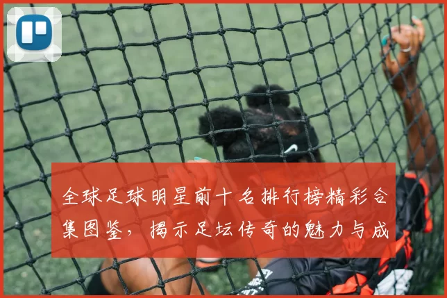 全球足球明星前十名排行榜精彩合集图鉴，揭示足坛传奇的魅力与成就