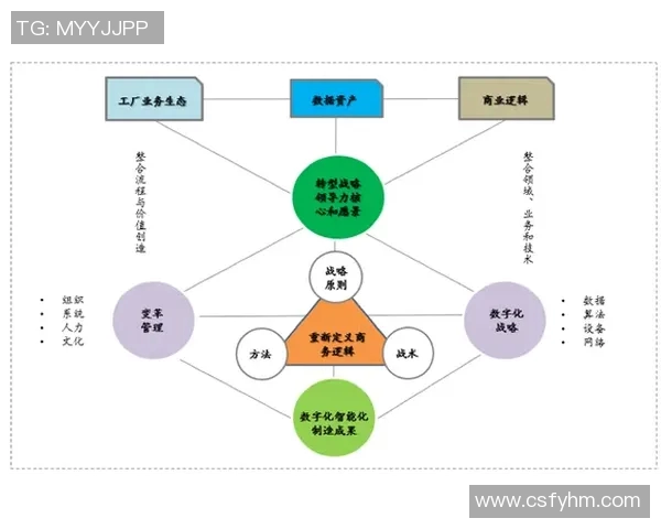 以数据为核心推动数字化转型的战略路径与实践探索分析