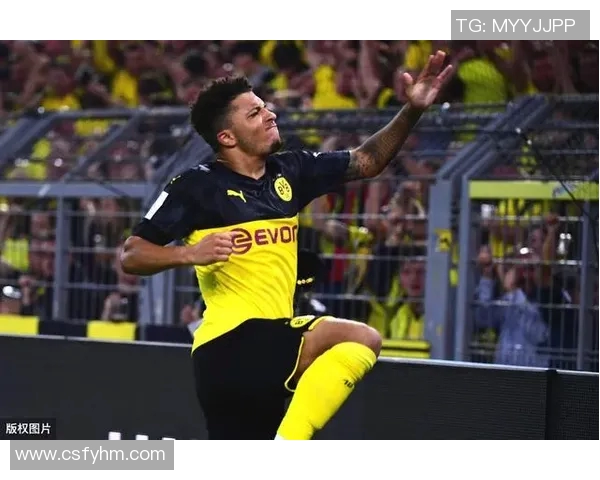 球员专属：全面解析球场巨星的成长轨迹与竞技风采