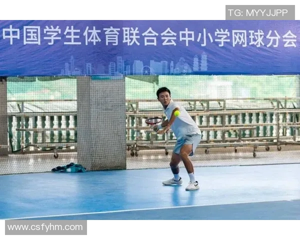 北京网球队在全国网球速度排行榜中荣获第五名的佳绩引发关注