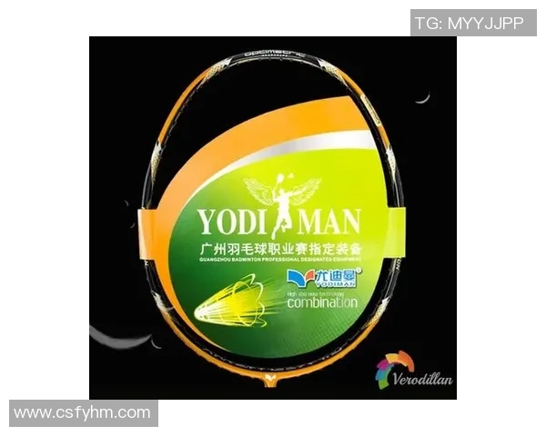 广州羽毛球队个人能力深度解析与训练秘籍分享