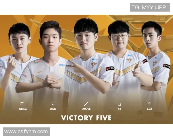 深度分析V5战队区域防守策略及其在比赛中的应用效果