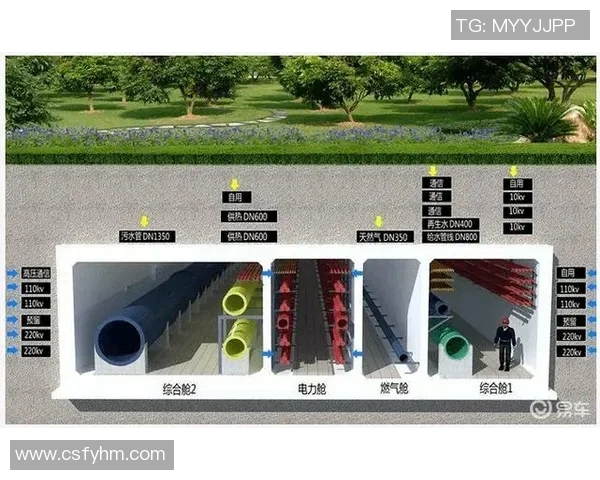 打造城市社区公共泳池提升居民生活质量与健康水平的综合方案