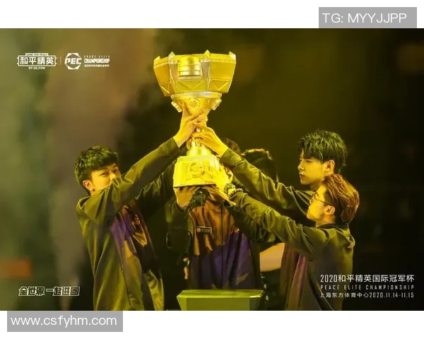 LNG在冠军杯中的团队协作分析与表现评估