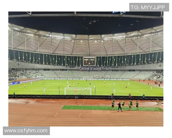 深圳飞盘队实力解析:各队员表现与战术对比全面剖析