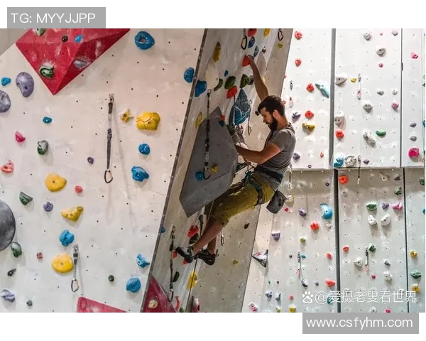 南京攀岩队心理素质创新高攀岩运动员心理素质排名引发关注