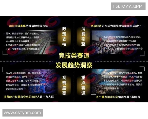 竞技体育的价值探析与社会影响力的多维度解读